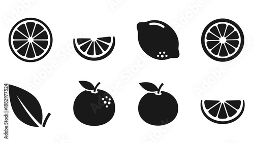 Minimalist citrus and leaf icons in black and white