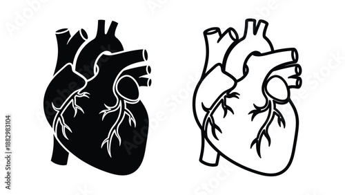 detailed black and white anatomical heart illustration showing arteries and veins