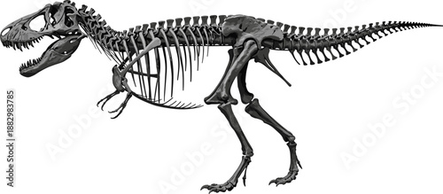 Tyrannosaurus rex skeleton illustration, dinosaur anatomy vector, prehistoric predator design, black white fossil artwork, educational paleontology graphic