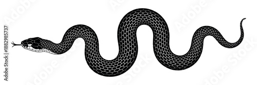 Snake Silhouette Vector Illustration Featuring Elongated Black Serpent Isolated for Tattoo or Design Use