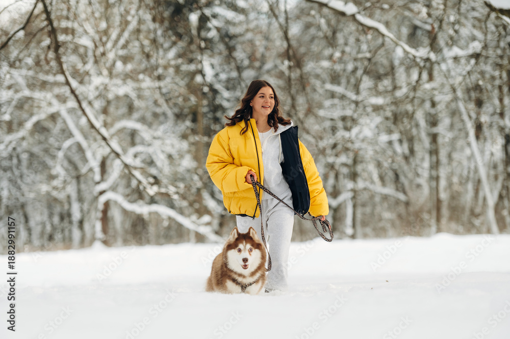 Fototapeta premium Woman walking a Siberian Husky dog on a snowy landscape, dressed in a bright yellow puffer jacket and white pants, surrounded by trees in a winter setting with soft snow