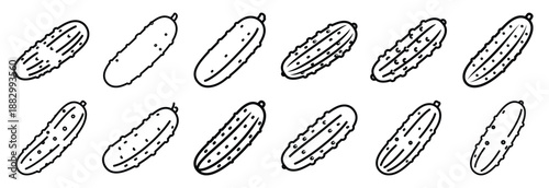 Collection of  sea cucumber soft  line art icons on white background. Set of animal linear symbols. Vector illustration.