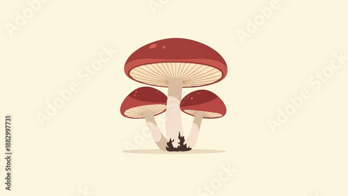 Three red capped mushrooms with cream colored stems and gills on a pale yellow background
