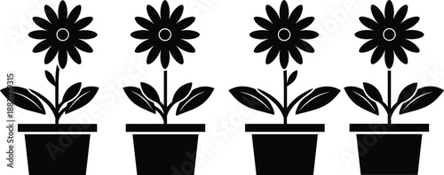 Black and white vector illustration of four identical potted flowers with large petals and leaves, simple floral garden plant icons set, isolated