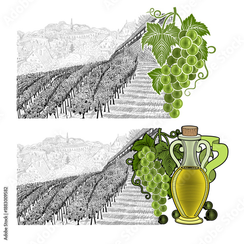 Two hand drawn sketches landscape of vineyard beside city wall and town on horizont. White grapes and grapes with bottle of oil or wine. Vector monochrome illustration isolated on white