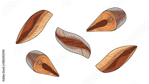 Vibrant cartoon illustrations of diverse fresh fish cuts and salmon fillets for culinary design projects