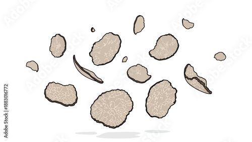 Digital illustration showcasing delicate white truffle slices, highlighting their exquisite marbled texture and unique culinary appeal against a