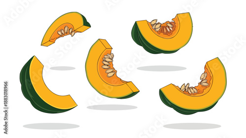 Vibrant organic pumpkin segments with visible seeds, a fresh culinary produce illustration
