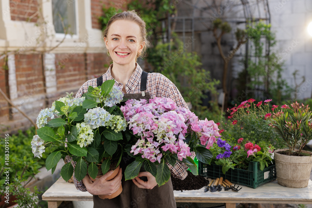 Fototapeta premium Smiling gardener holding hydrangea pots in backyard for plant care banner