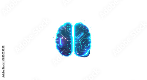 A detailed frontal view of a brain's intricate structure and function in a scientific context