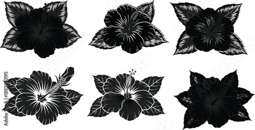 Black hibiscus flower silhouettes collection with detailed tropical floral elements, isolated botanical illustrations for decoration, design, nature and artistic concepts