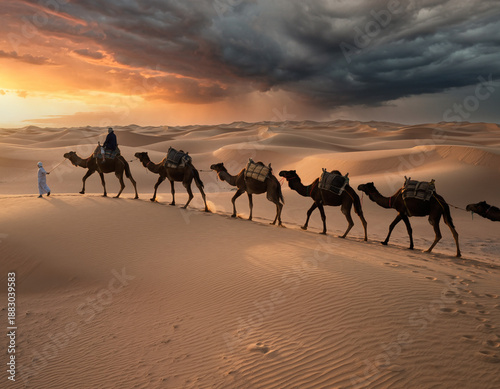 Camel caravan traveling through sand dunes in the Sahara desert during a dramatic sunset storm