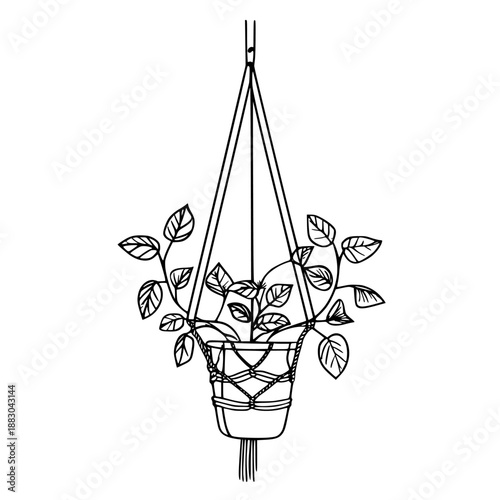 Miniature Elegance: Handcrafted Macram Plant Holder | Clean, isolated vector art for creative projects.