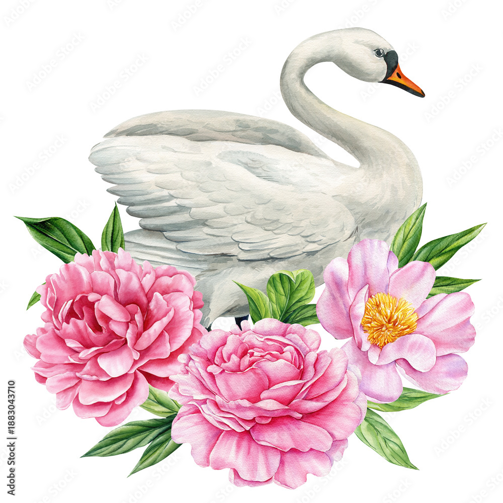 Fototapeta premium White swan with pink peonies watercolor illustration elegant floral bird composition isolated on white