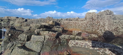 Rocky coastline showing barnacles and tide pools under blue sky