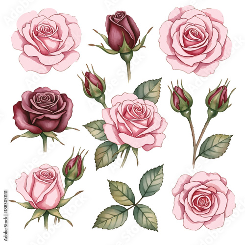 Seamless pink rose floral pattern with romantic vintage style design
