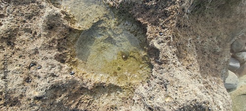 Tide pool in rock reflecting clear water