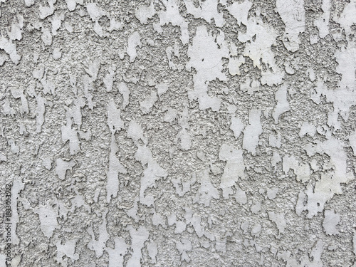 Wallpaper Mural Gray textured wall with rough stucco finish. Building material texture for construction and renovation background or graphic design element. Torontodigital.ca