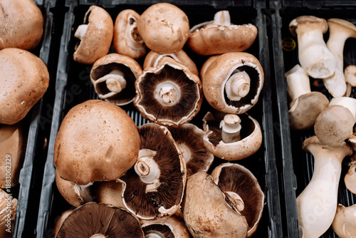 Fresh Mushrooms at Market