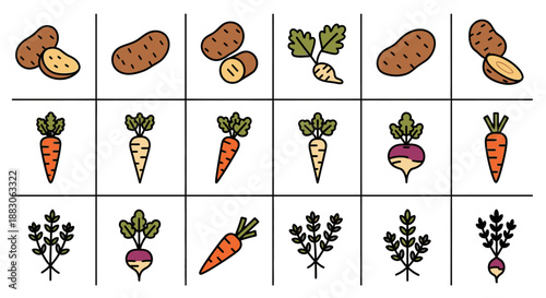 A grid illustration displaying various root vegetables including potatoes, carrots, and radishes or turnips, arranged in rows and columns.