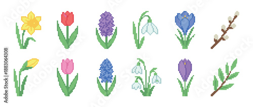 Pixel art set of colorful spring flowers including tulip, daffodil, crocus, and hyacinth in a retro 8-bit video game style illustration for seasonal design elements