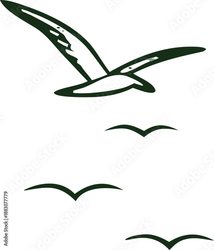 The most beautiful bug flying