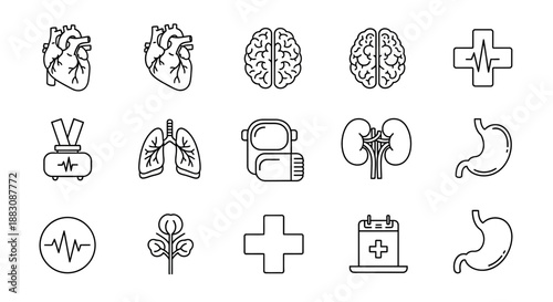 Medical Icons: Human Organs, Health, and Science - Line Art Collection