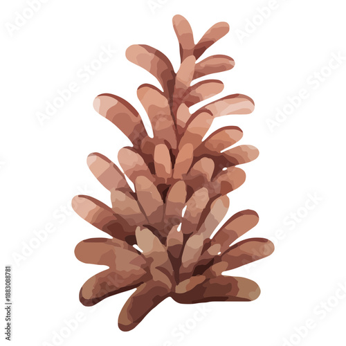 Winter weather pinecone nature