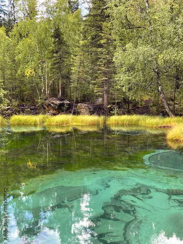 Trees and sky reflecting in water