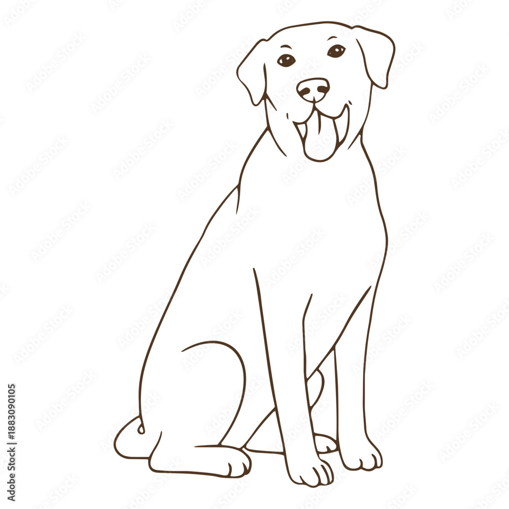 Fototapeta premium Labrador stroke sitting