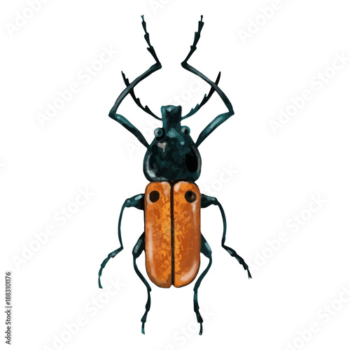 Stag beetle textured insects