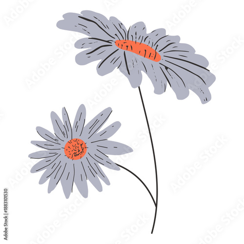Εκτύπωση καμβά Gray daisies semi flat