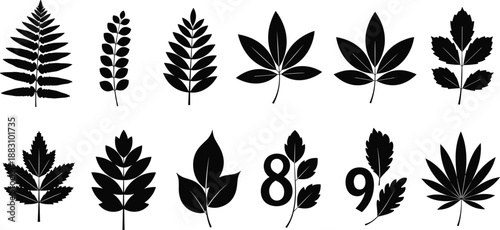 Botanical leaf silhouette illustration set featuring various plant and foliage shapes arranged as minimal black icons isolated on white background for nature, ecology, and graphic design use