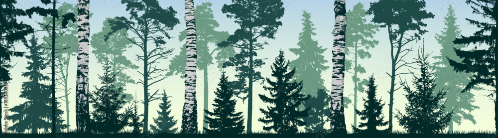 Fototapeta premium Seamless coniferous winter forest background. Pine, spruce, fir, christmas tree. Diverse trees and birches creating a layered forest. Silhouette vector illustration