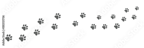 Paw print of dog isolated on transparent background. cat paw print. cat walk foot print. Paw print of dog PNG