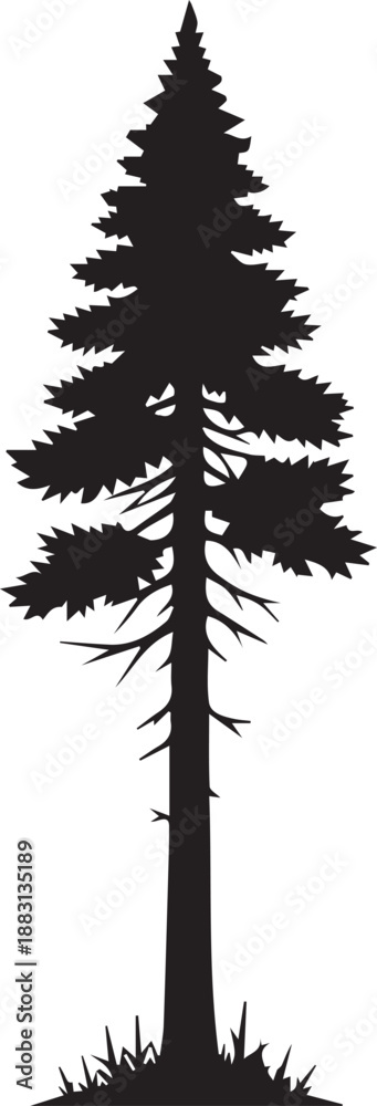 Obraz premium Tall pine tree silhouette vector illustration with needle leaves and branches