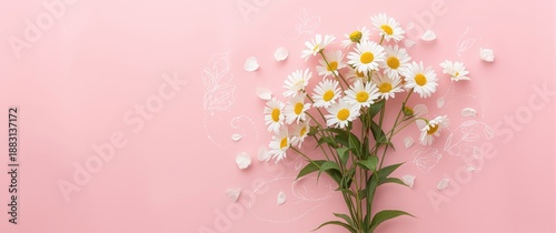 Isolated daisy flowers and fallen petals against pink backdrop
