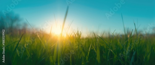 Abstract Earth day theme featuring blur, soft green bokeh, meadow, and blue sky on an autumn sunrise background