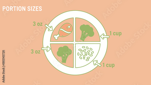 Nutrition Plate: Visual Guide to Portion Sizes for Balanced and Healthy Meal Planning