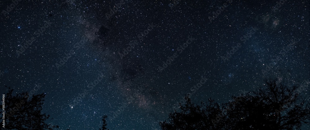 Fototapeta premium Stars and galaxy in the outer space sky at night with tree tops