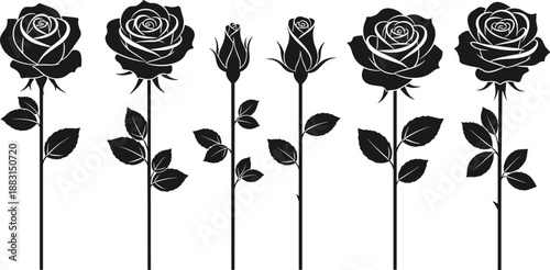 Set of six black rose flower silhouettes; open blooms and closed buds, romantic botanical garden vector, elegant floral decor.