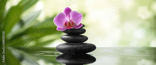Zen stones with pink orchid