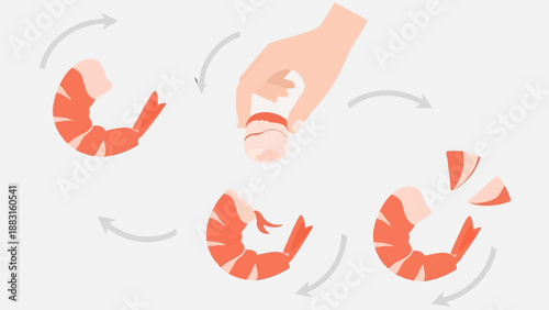 Shrimp Preparation Illustration: A Step-by-Step Guide to Cooking Seafood Deliciousness