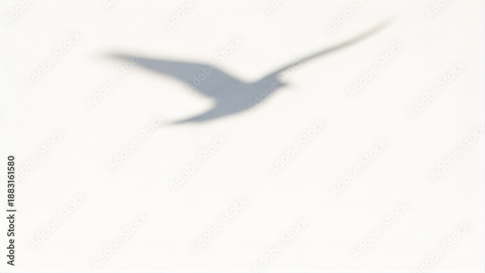 Obraz premium Bird Shadow on White Wall