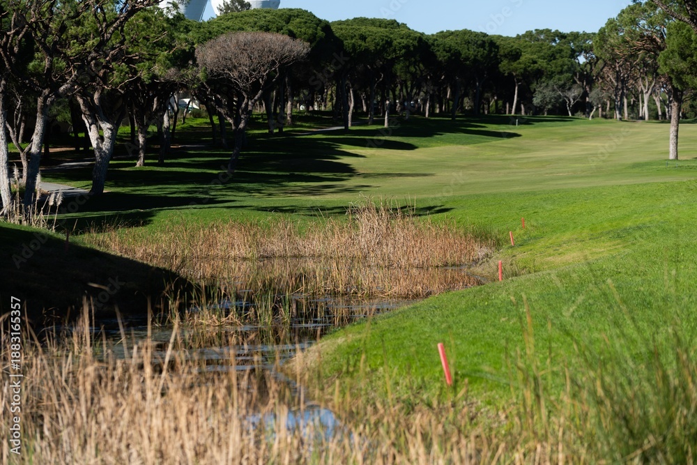 Fototapeta premium Sand bunker on a golf course without people with a row of trees in the background during sunset 