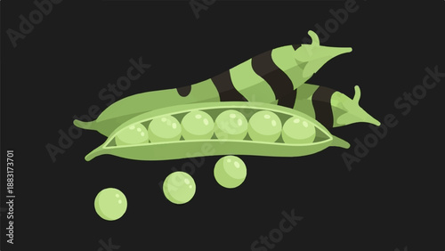 Two green pea pods, one open with peas, on a dark background