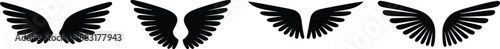 Angel wings silhouette set, black feather wing icons collection, flying bird wings symbol, vector illustration, isolated design