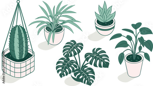 Cartoon Color House Plants Set 3d Isometric View Include of Cactus, Philodendron and Succulent. A clean vector illustration set of indoor house plants in 3D isometric view,  Vector illustration

