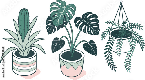 Cartoon Color House Plants Set 3d Isometric View Include of Cactus, Philodendron and Succulent. A clean vector illustration set of indoor house plants in 3D isometric view,  Vector illustration

