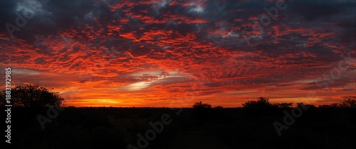 Breathtaking bushveld sunset featuring vibrant crimson and orange clouds painting the sky and highlighting the wilderness's majestic charm